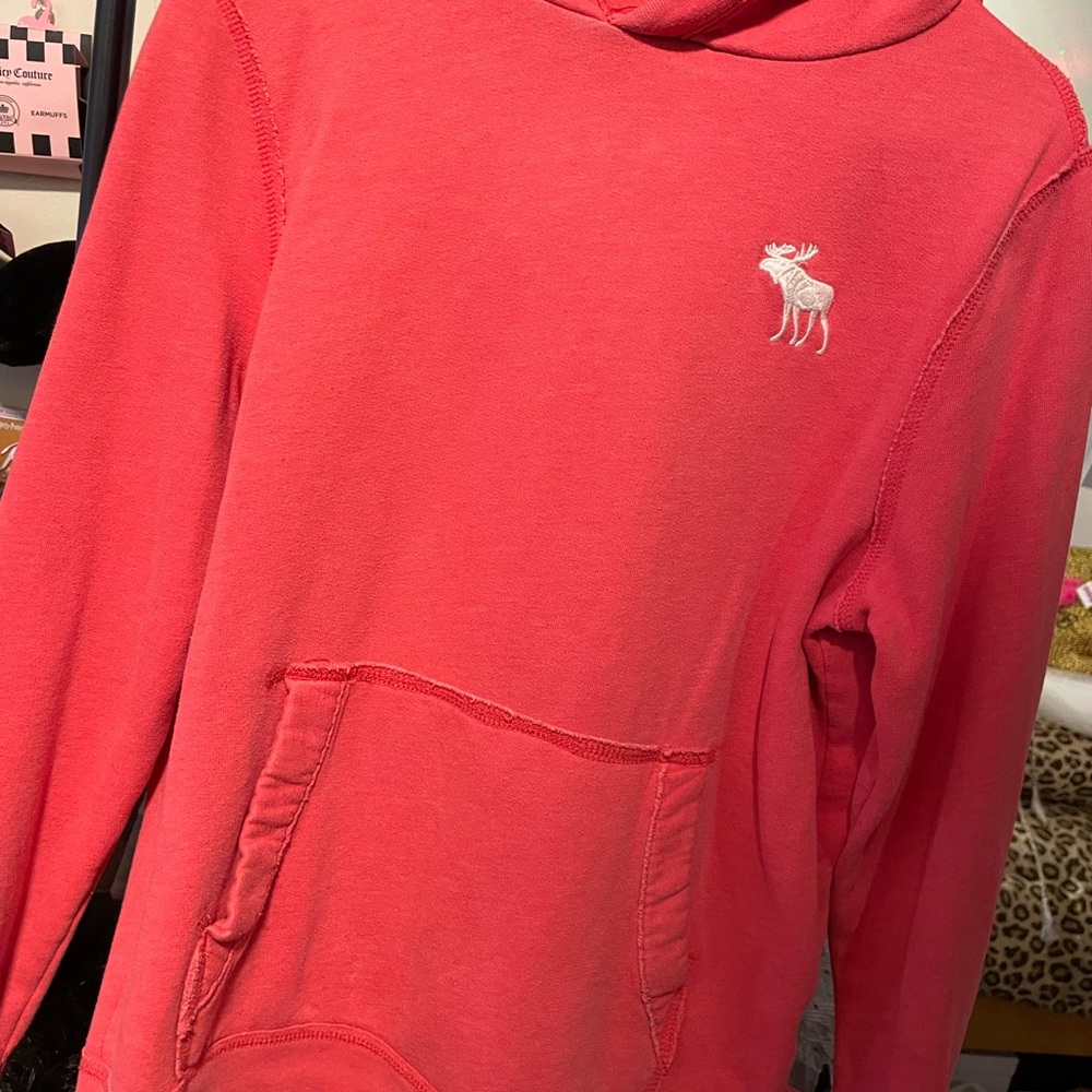 Hot pink Hoodie with Embroidered Logo